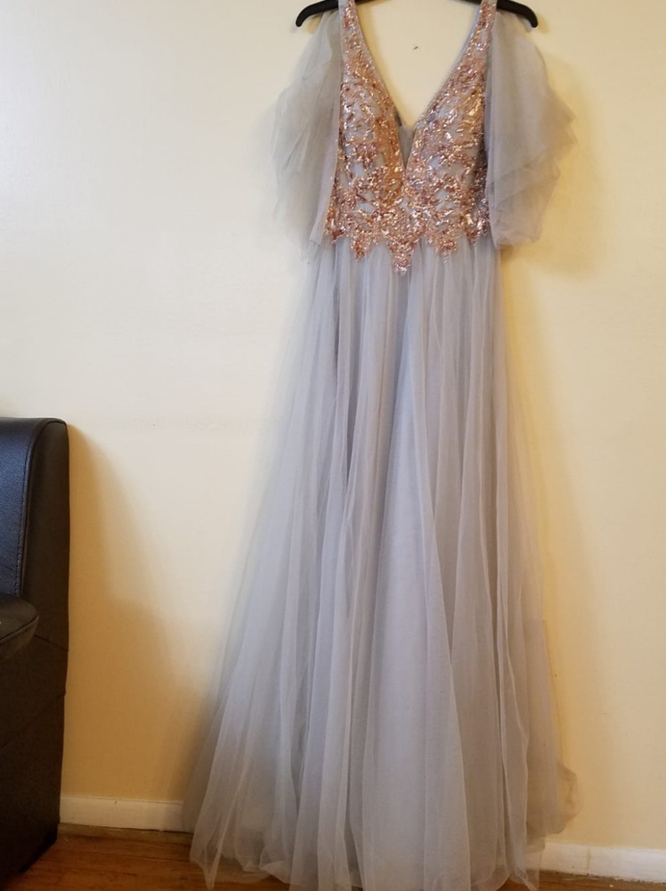 NWT Silver/Pink Gown